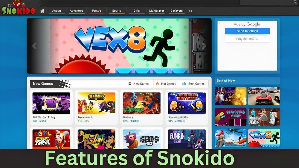 Features of Snokido